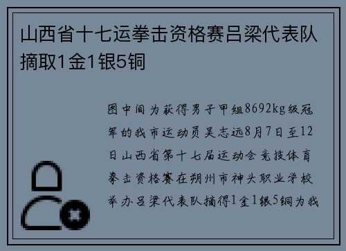 山西省十七运拳击资格赛吕梁代表队摘取1金1银5铜
